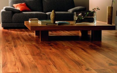 What Is The Best Paint For Wood?