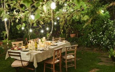 Create Your Dream Yard This Summer 